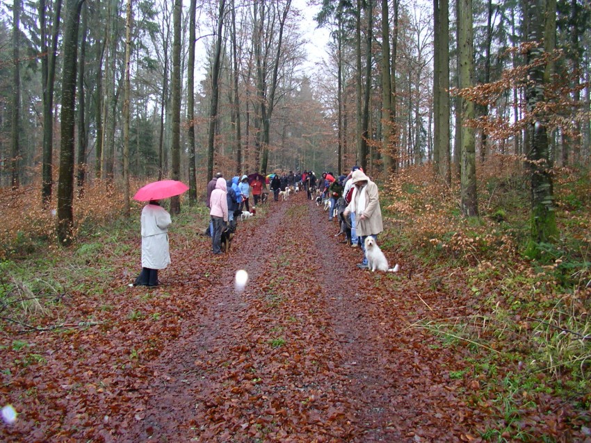 2007 Adventsfeier0040