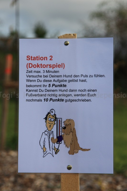 Doktorspiel 21 09 08 002