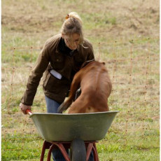 2008 SF Dittus 017 2008 SF Dittus 017