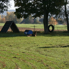 2008 10 18 Teamtest klein 0054