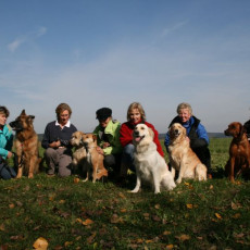 2008 10 18 Teamtest klein 0085