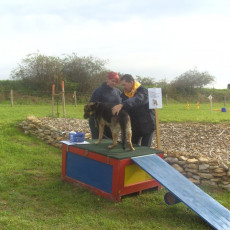 Sommerfest 2008 i 009 Sommerfest 2008 i 009