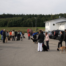 02 Spaziergang 21 09 08 01 02 Spaziergang 21 09 08 01