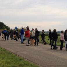 02 Spaziergang 21 09 08 02 02 Spaziergang 21 09 08 02