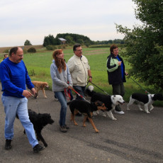 02 Spaziergang 21 09 08 03 02 Spaziergang 21 09 08 03