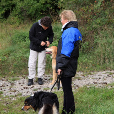 02 Spaziergang 21 09 08 04 02 Spaziergang 21 09 08 04