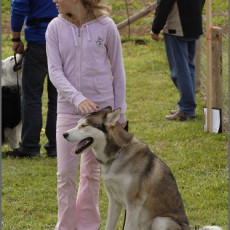 2008 SF Dittus 012 2008 SF Dittus 012