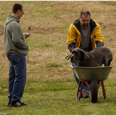 2008 SF Dittus 015 2008 SF Dittus 015