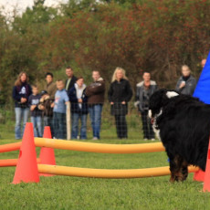 Gruppe2 21.09.2008 14 27 06 Gruppe2 21.09.2008 14 27 06