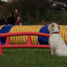 Gruppe2 21.09.2008 14 28 14 Gruppe2 21.09.2008 14 28 14