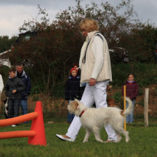 Gruppe2 21.09.2008 14 29 31 Gruppe2 21.09.2008 14 29 31