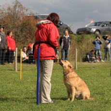 Gruppe3 21.09.2008 14 43 44 Gruppe3 21.09.2008 14 43 44