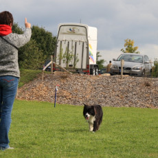 Gruppe3 21.09.2008 14 45 26 Gruppe3 21.09.2008 14 45 26