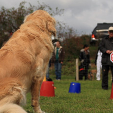 Gruppe3 21.09.2008 14 53 08 Gruppe3 21.09.2008 14 53 08