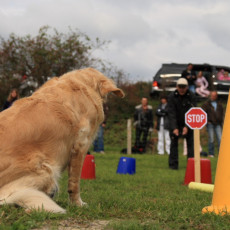 Gruppe3 21.09.2008 14 53 15 Gruppe3 21.09.2008 14 53 15