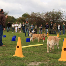 Gruppe3 21.09.2008 14 53 52 Gruppe3 21.09.2008 14 53 52