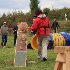 Gruppe3 21.09.2008 14 58 47 Gruppe3 21.09.2008 14 58 47