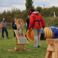 Gruppe3 21.09.2008 15 00 07 Gruppe3 21.09.2008 15 00 07