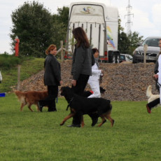 Gruppe4 Quadrille 21 09 08 002 21.09.2008 15 06 18 Gruppe4 Quadrille 21 09 08 002 21.09.2008 15 06 18