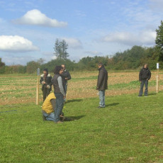 Sommerfest 2008 i 016 Sommerfest 2008 i 016