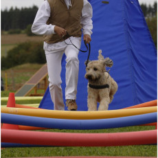 2008 SF Dittus 028 2008 SF Dittus 028