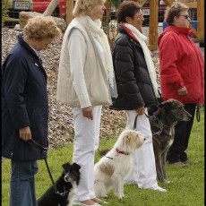 2008 SF Dittus 032 2008 SF Dittus 032