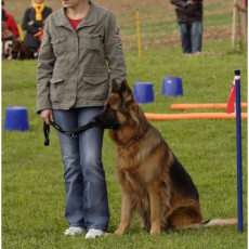 2008 SF Dittus 035 2008 SF Dittus 035