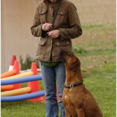 2008 SF Dittus 039 2008 SF Dittus 039