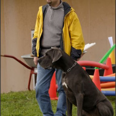 2008 SF Dittus 040 2008 SF Dittus 040