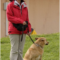 2008 SF Dittus 043 2008 SF Dittus 043