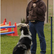 2008 SF Dittus 053 2008 SF Dittus 053