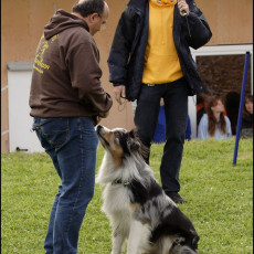 2008 SF Dittus 055 2008 SF Dittus 055