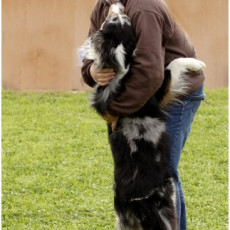 2008 SF Dittus 057 2008 SF Dittus 057