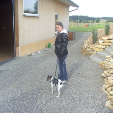 Sommerfest 2008 i 004 Sommerfest 2008 i 004