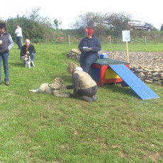 Sommerfest 2008 i 012 Sommerfest 2008 i 012