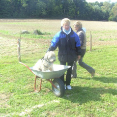 Sommerfest 2008 i 013 Sommerfest 2008 i 013