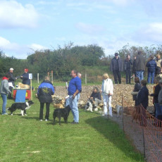 Sommerfest 2008 i 015 Sommerfest 2008 i 015