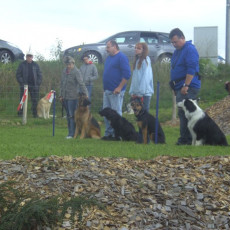 Sommerfest 2008 i 018 Sommerfest 2008 i 018