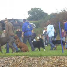 Sommerfest 2008 i 019 Sommerfest 2008 i 019