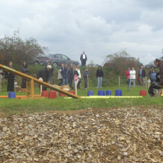 Sommerfest 2008 i 020 Sommerfest 2008 i 020