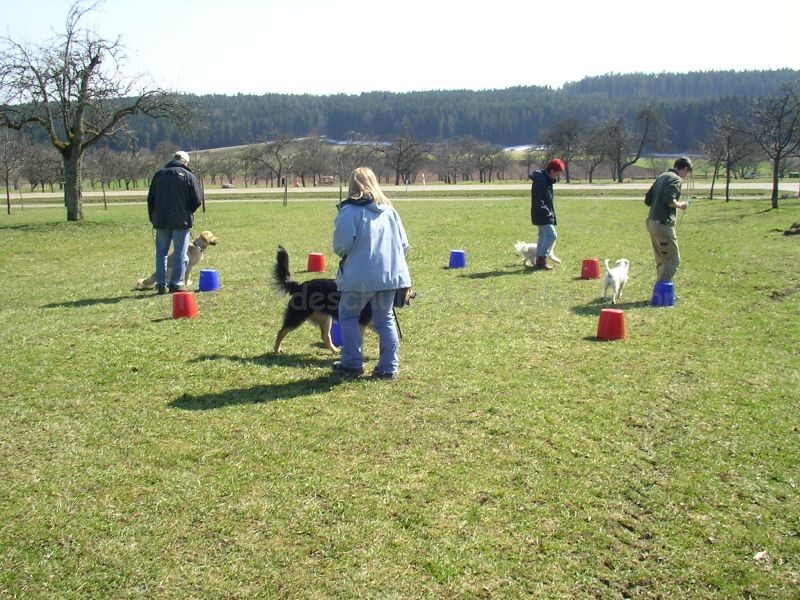 06 04 08 Sonnentraining0004 i
