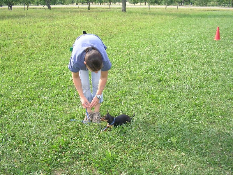 Uschi s Vormittagsgruppe0004 i Uschi s Vormittagsgruppe0004 i