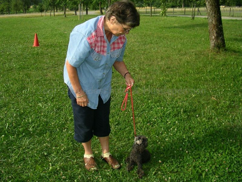 Uschi s Vormittagsgruppe0006 i Uschi s Vormittagsgruppe0006 i