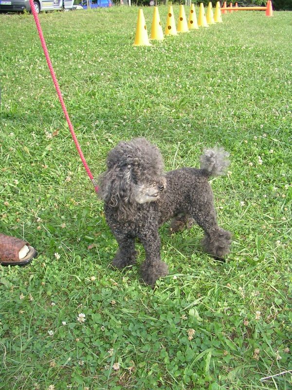 Uschi s Vormittagsgruppe0008 i Uschi s Vormittagsgruppe0008 i