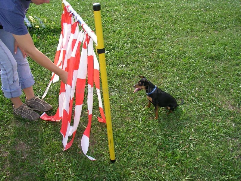 Uschi s Vormittagsgruppe0012 i Uschi s Vormittagsgruppe0012 i