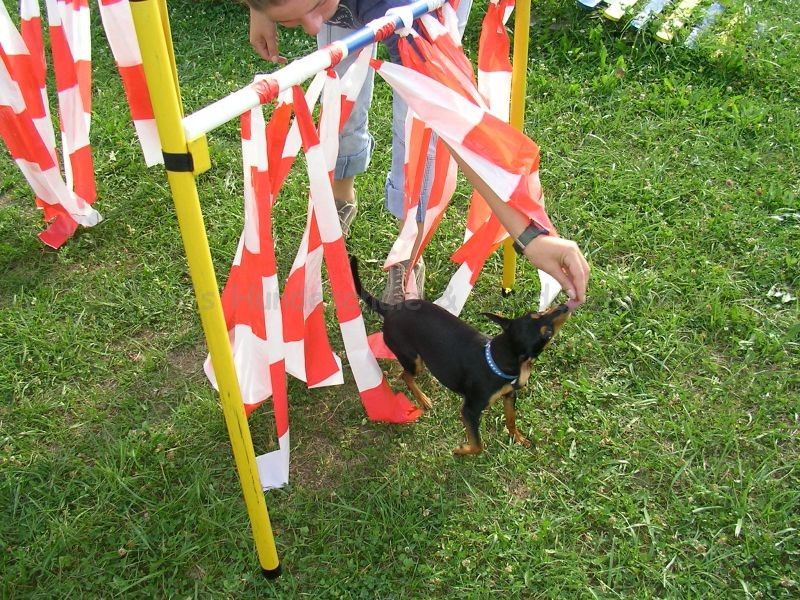 Uschi s Vormittagsgruppe0014 i Uschi s Vormittagsgruppe0014 i