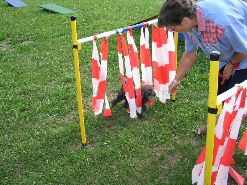 Uschi s Vormittagsgruppe0016 i 0 Uschi s Vormittagsgruppe0016 i 0