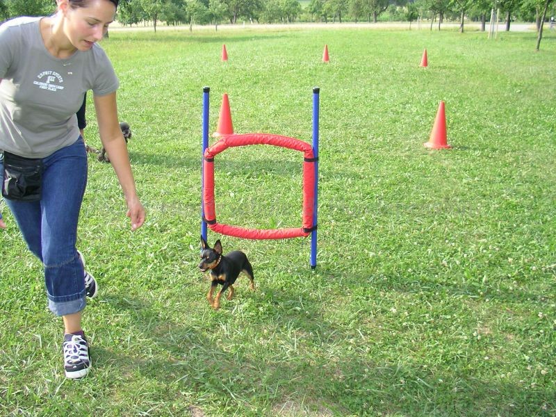 Uschi s Vormittagsgruppe0018 i Uschi s Vormittagsgruppe0018 i