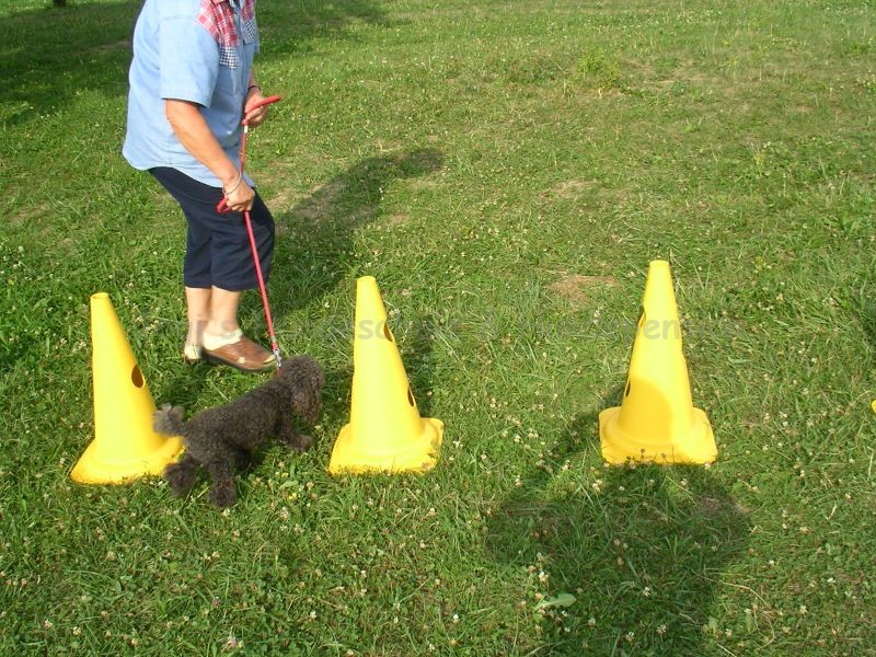 Uschi s Vormittagsgruppe0028 i Uschi s Vormittagsgruppe0028 i