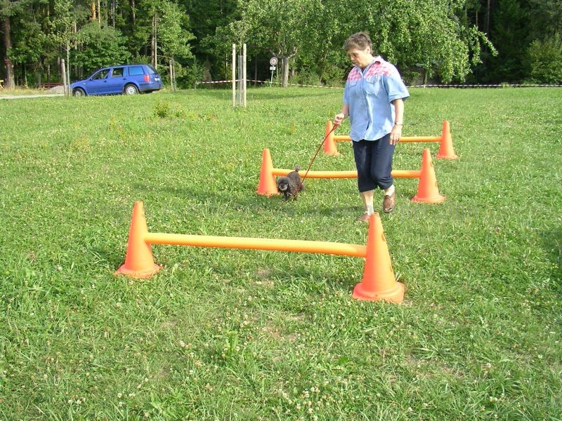 Uschi s Vormittagsgruppe0030 i Uschi s Vormittagsgruppe0030 i